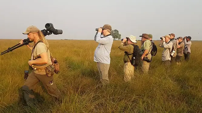 Bird-Watching.webp