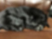 IMG_0260.jpeg