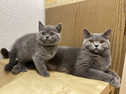Tammy und Baby