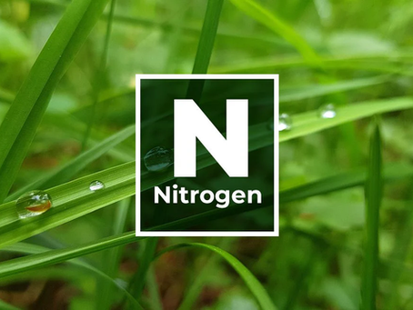 What About Nitrogen ?