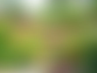 Earth: The Gift That Keeps on Giving