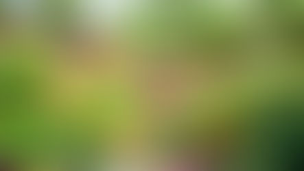 Earth: The Gift That Keeps on Giving