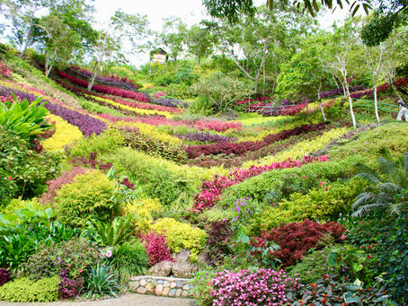 Earth: The Gift That Keeps on Giving