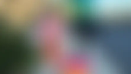 Organizations Who Make a Difference