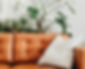 sofa cropped and lighter.jpg