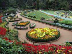 Ooty