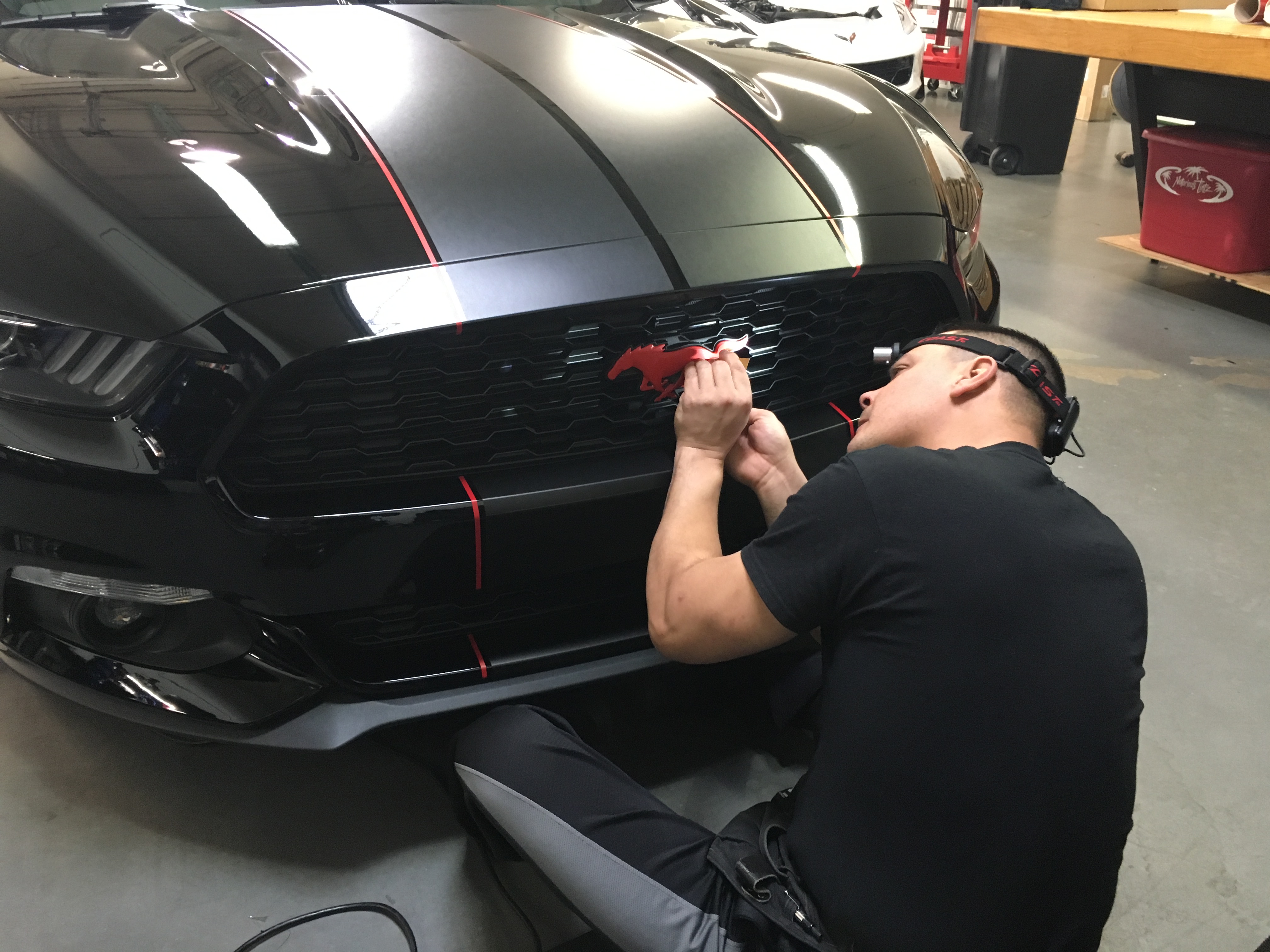 2017 MUSTANG STRIPES