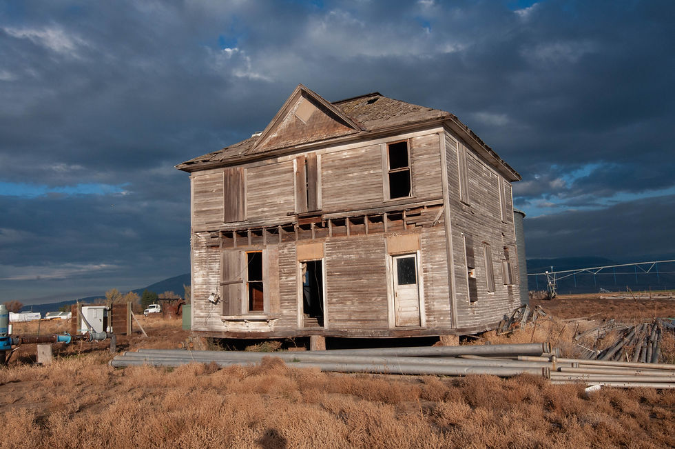 54860823766_56323da62e_o