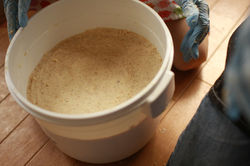 味噌づくり体験5