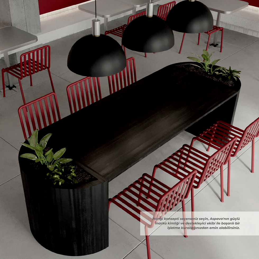 ASPAVA_FRANCHISE BOOK_compressed-45.png