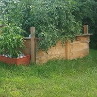 21034490_1813182905362541_8517294621384809017_n