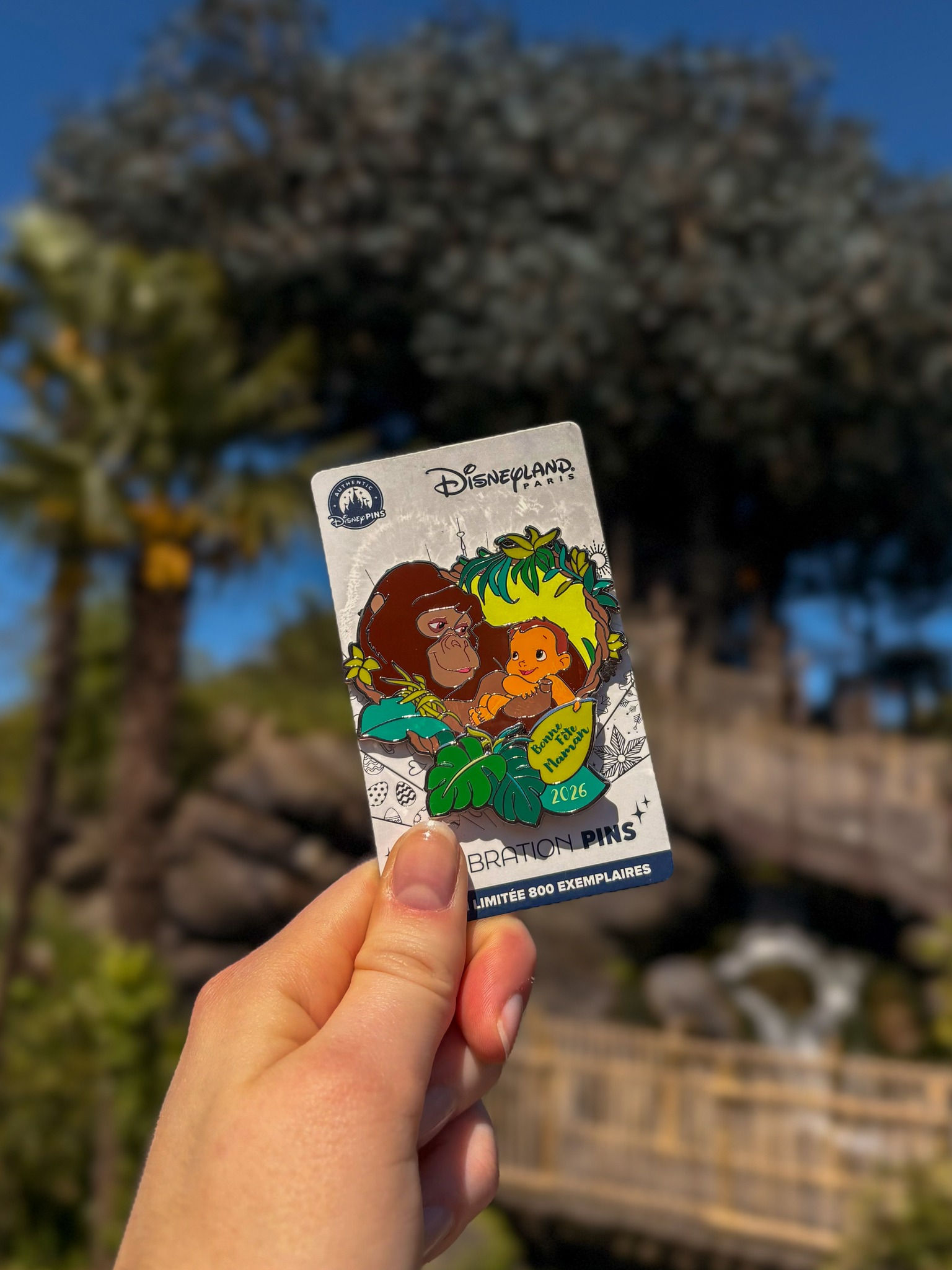 Pin's Tarzan & Kala - Édition Limitée "Bonne Fête Maman 2026