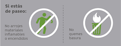 incendios forestales-08.png