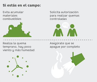 incendios forestales-09.png