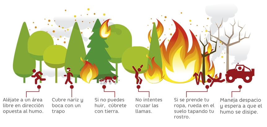 incendios forestales-03.png