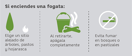 incendios forestales-10.png