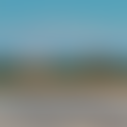 Salt & Pepper Shakers