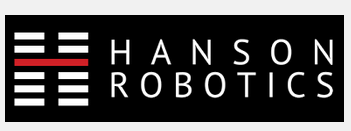 hanson robotic