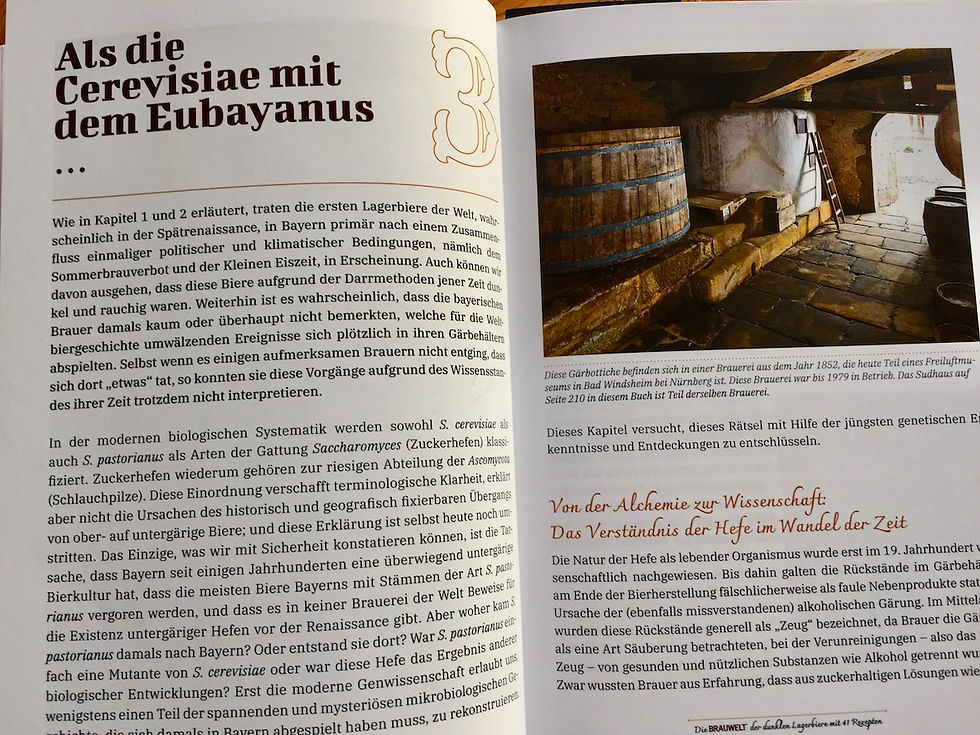 Miniaturbild: Untergärig und Dunkel – Die Brauwelt der dunklen Lagerbiere