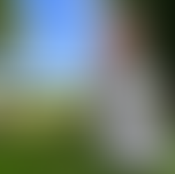 We’re not in Kansas anymore…