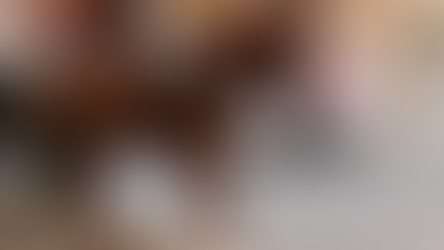 Enough with the animal photos!