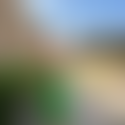 Let’s go to Palma…