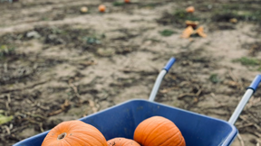 The middle-age clichés just keep on coming, and you know what… I’m not sorry!