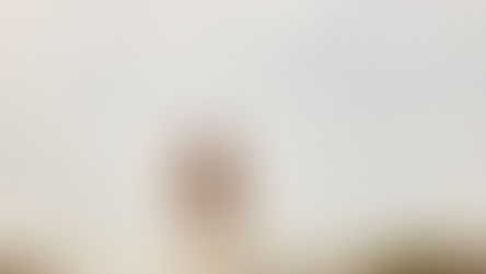 ‘Bamboo that bends is stronger than oak that resists’