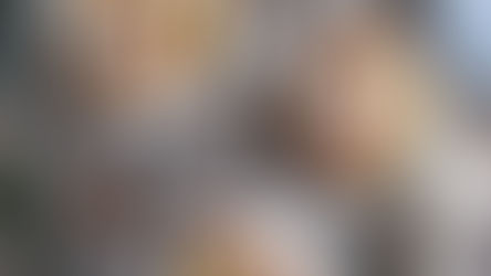 Gluten-Free Pumpkin Pancakes