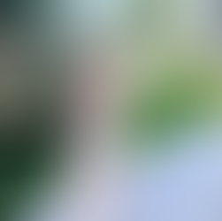 When it’s a gold bag kinda day!!