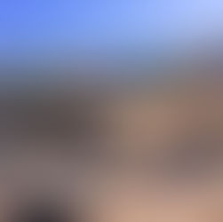 Wednesday - THE best day of the week to either work from home…or take a day off!