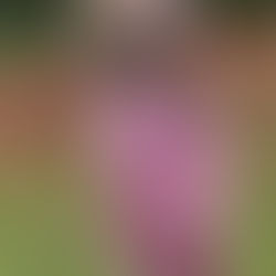 No no! That wasn’t a question!