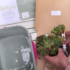 A BERRY Nice Way to Spend the Weekend!