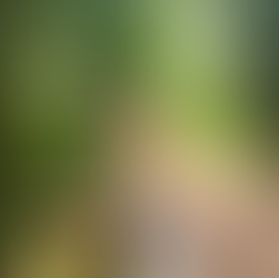 ‘I have to…’ - the impact of negative phrasing on gratitude potential