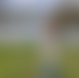 Curiosity… did it really kill the cat?