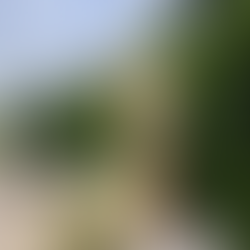 What every instagram user should know before outsourcing ALL their content to reels!