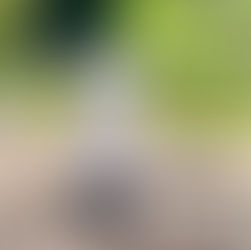 Great Outdoors Month: June boasts no shortage of incentives to shun the hibernation habits of winter