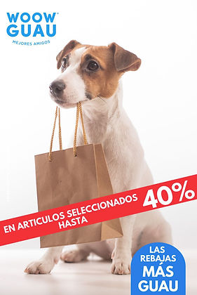 WhatsApp Image 2026-01-31 at 09.54.02.jpeg