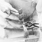 patiserie, brutarie, cofetarie, carmangerie, bacanie, sistem de vanzare, digitalizare