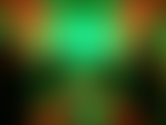 Ultimate Stag Party Packages in Serbia