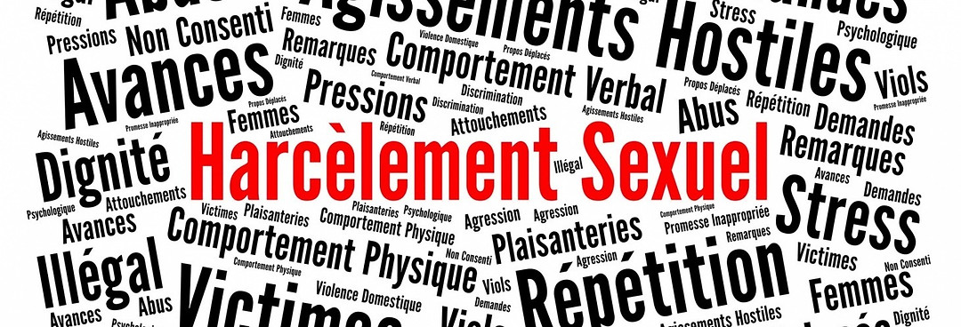 Harcelement Sexuel Nuage Mots_edited_edited.jpg