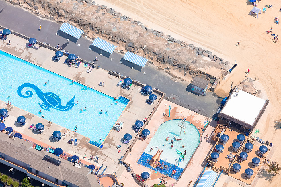 Sea Bright - Driftwood II