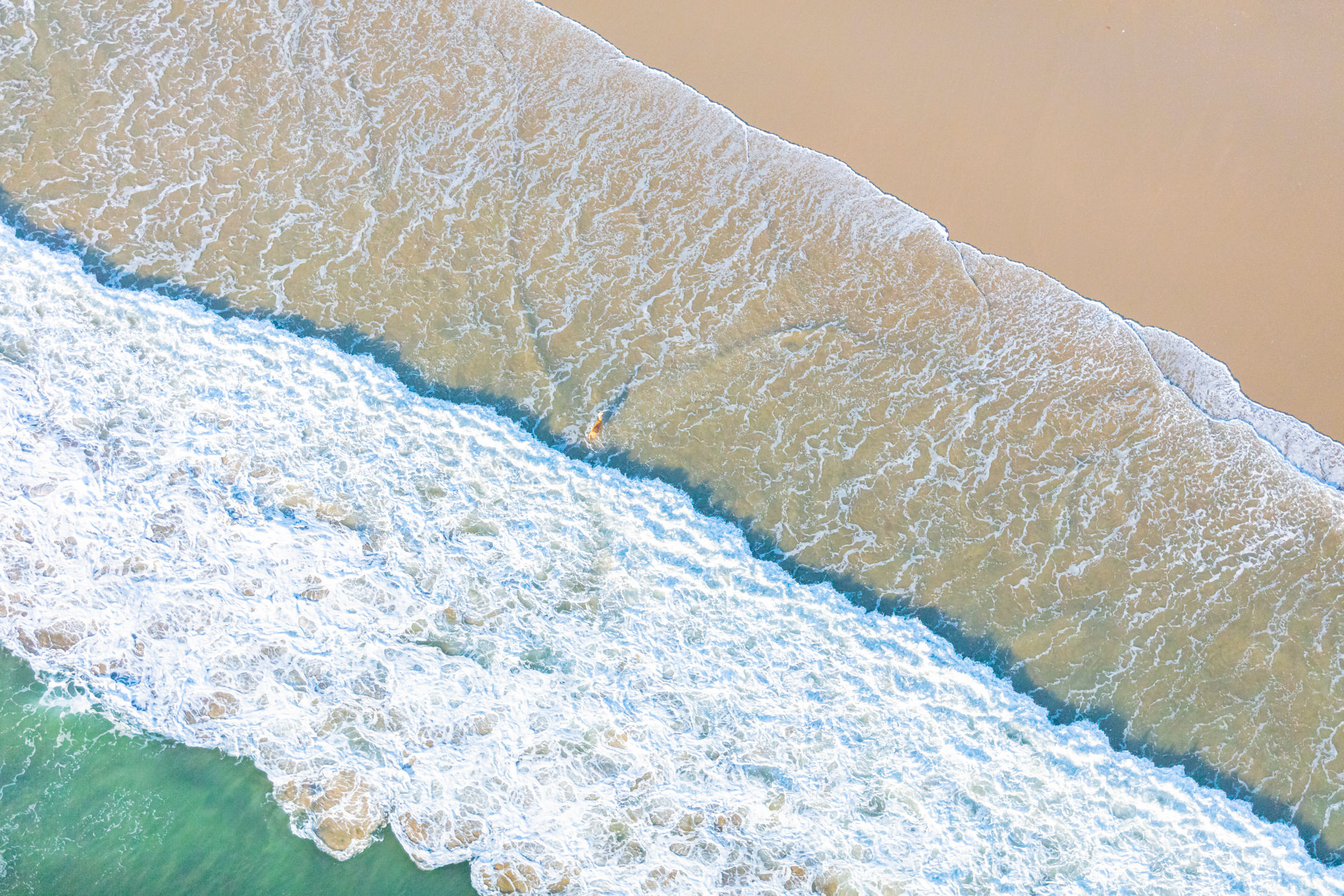 2022 - CA - Venice Beach - 008