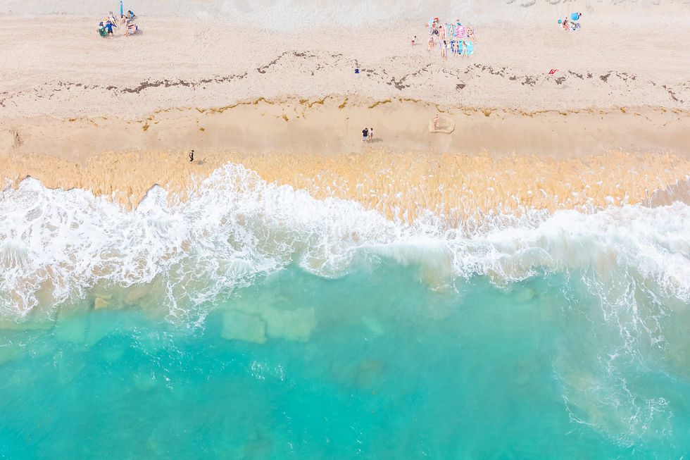 2024 - Palm Beach - 017 - Phipps Ocean Park