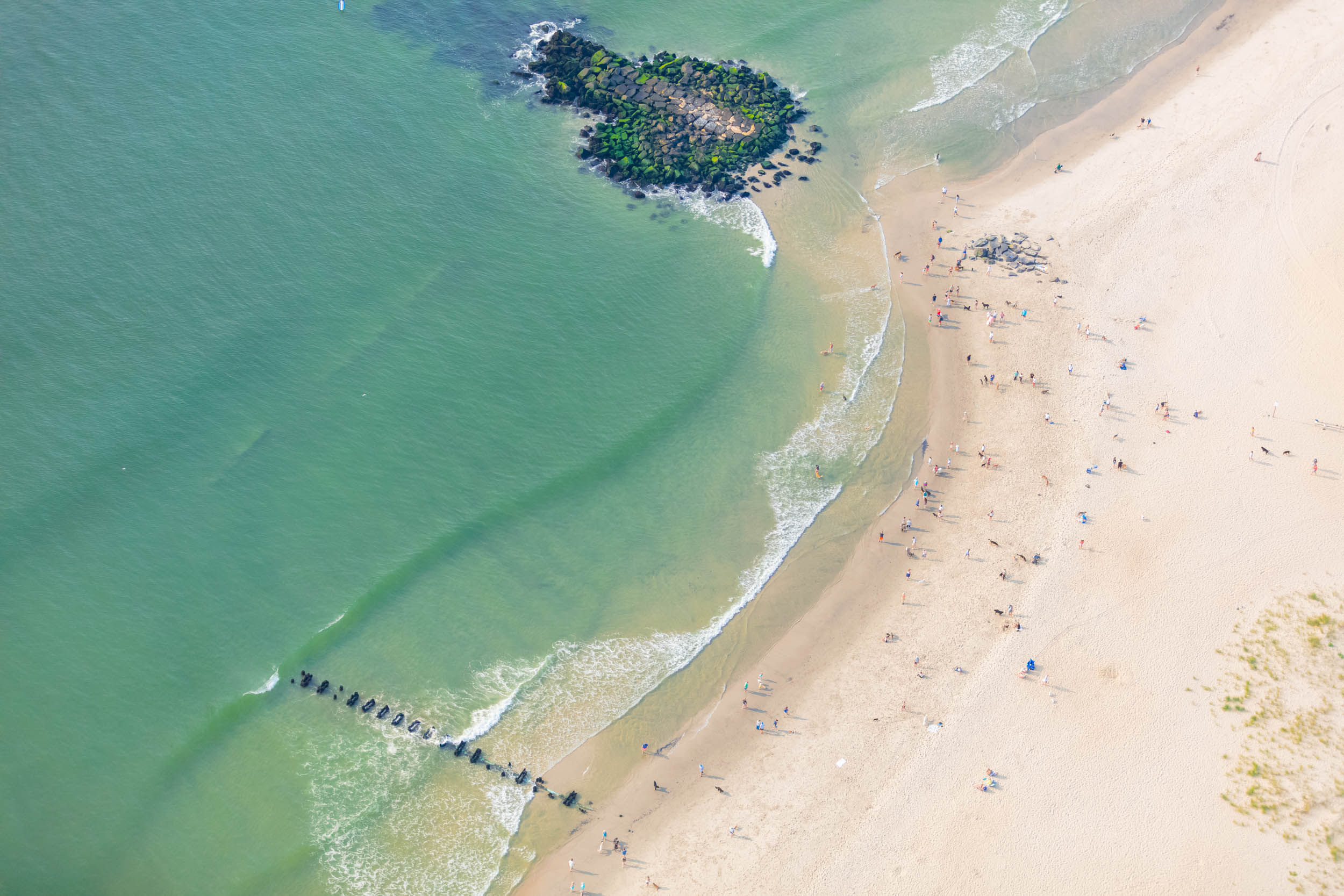 2024 - Spring Lake Dog Beach - 011