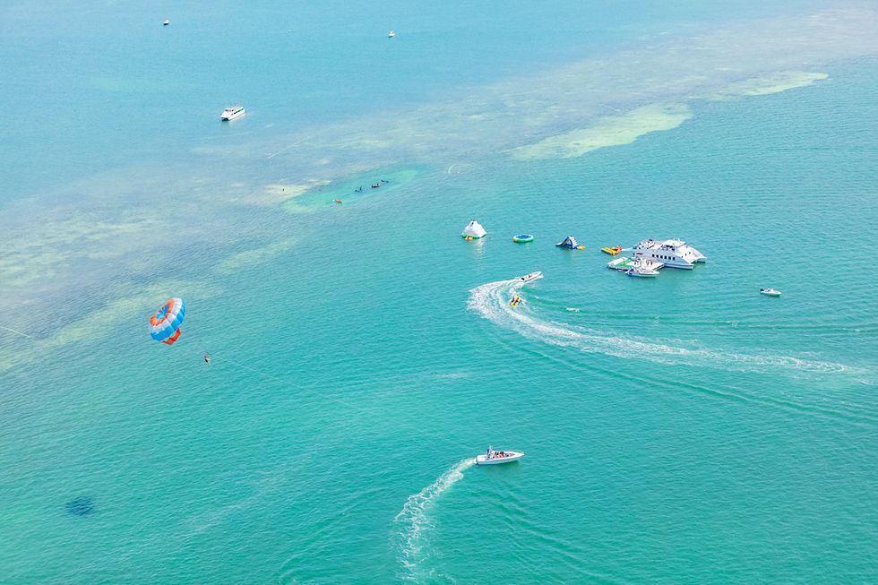 Key West - Sunset Party Cat IV