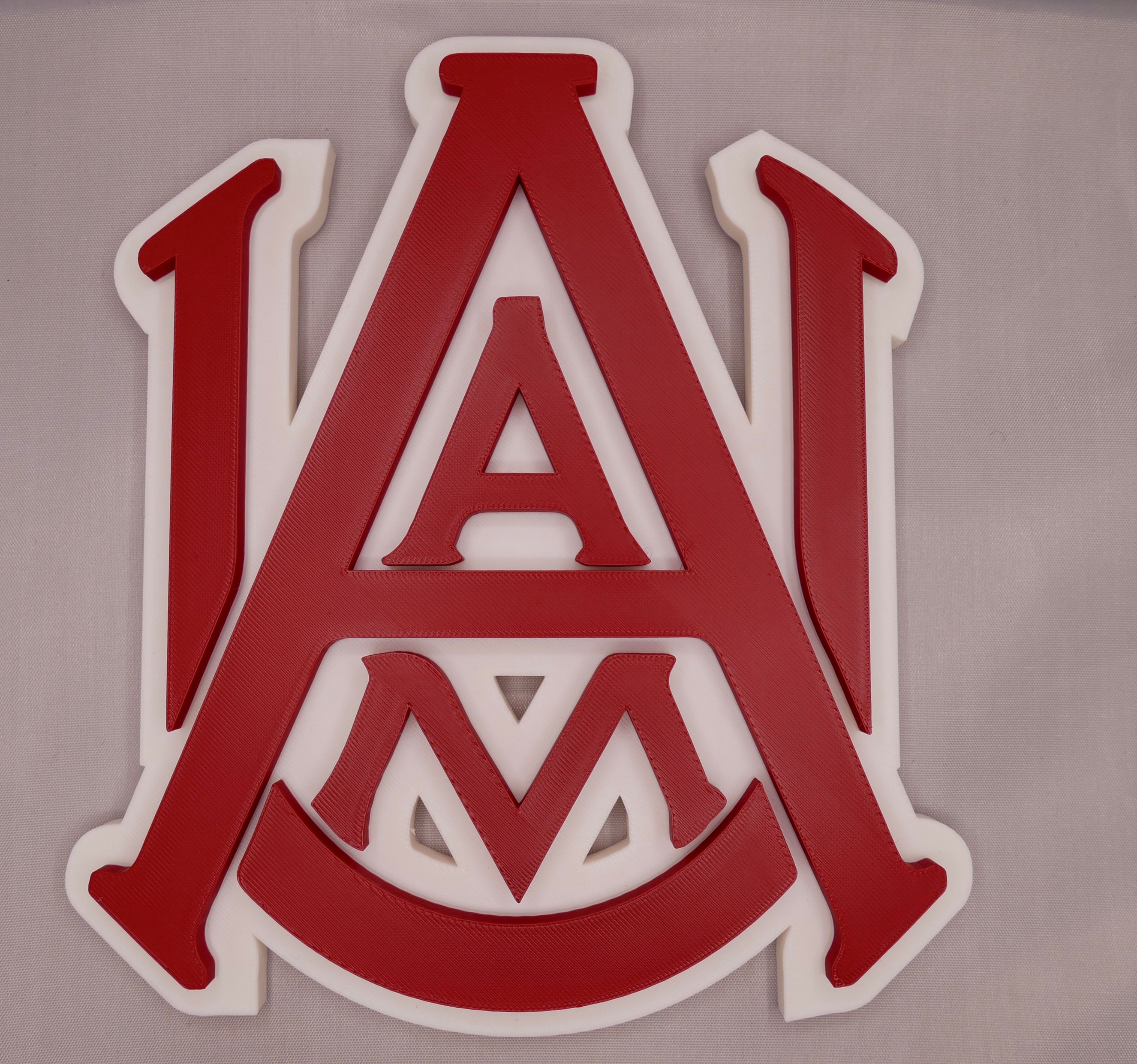 Large AAMU Wall Art / Desk Decoration