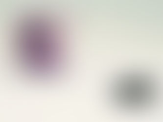 Creating an Emergency Fund: How Much Do You Really Need?