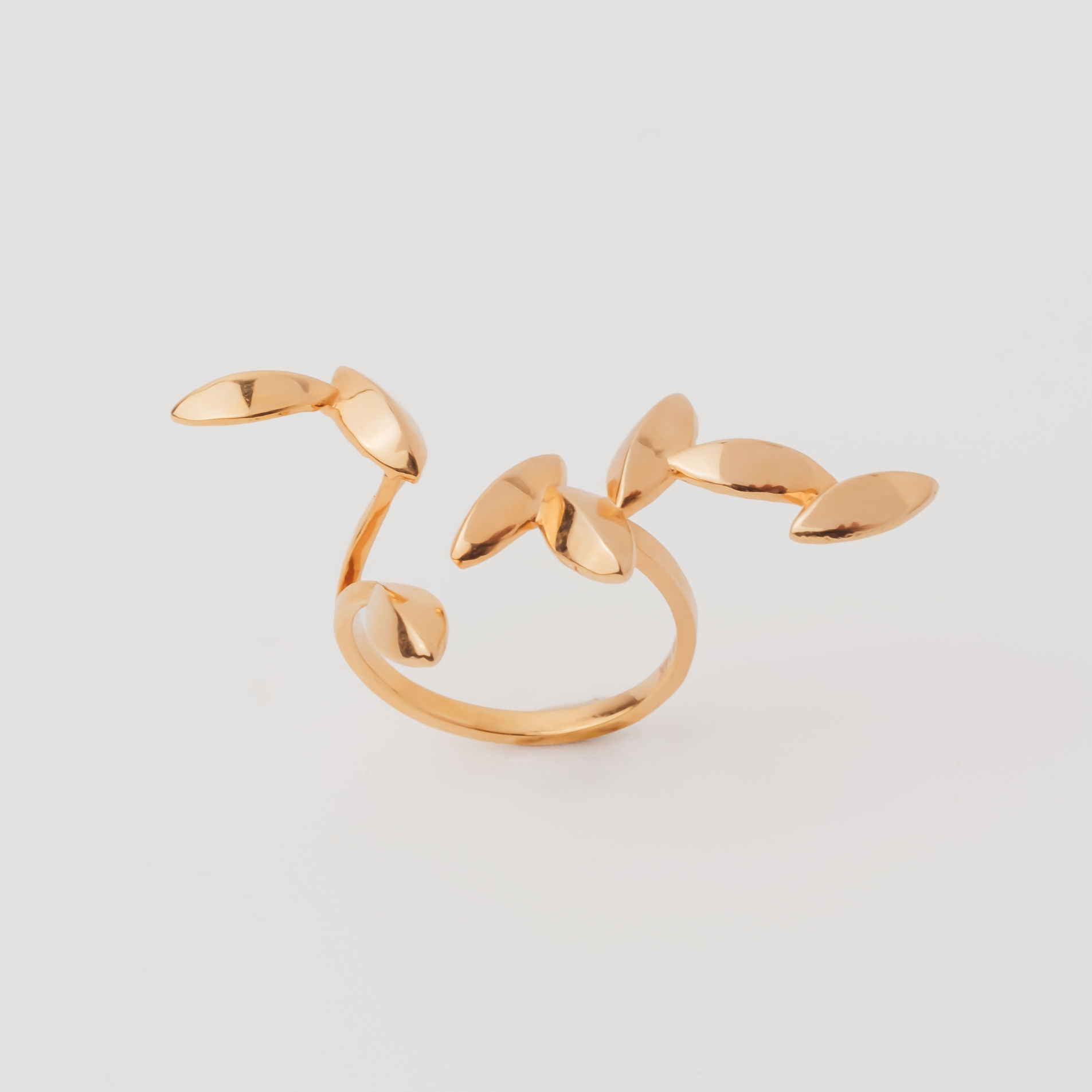 Ring Padi 01