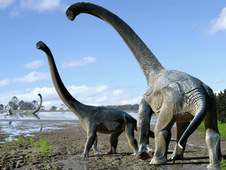 Long-necked dino species discovered in Australia
